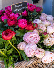 Load image into Gallery viewer, Pink Peonies in Paris - Paris Photography - La Porte Bonheur