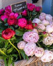 Load image into Gallery viewer, Pink Peonies in Paris - Paris Photography - La Porte Bonheur