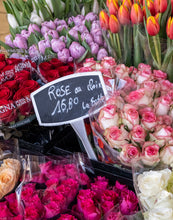 Load image into Gallery viewer, Rose au Choix - Paris Photography - La Porte Bonheur