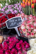 Load image into Gallery viewer, Rose au Choix - Paris Photography - La Porte Bonheur