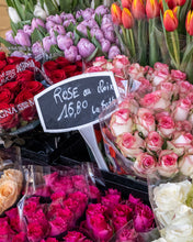 Load image into Gallery viewer, Rose au Choix - Paris Photography - La Porte Bonheur