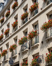 Load image into Gallery viewer, Rue Dauphine Geraniums - Paris Photography - La Porte Bonheur