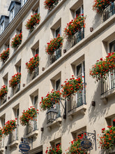 Load image into Gallery viewer, Rue Dauphine Geraniums - Paris Photography - La Porte Bonheur