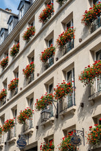 Load image into Gallery viewer, Rue Dauphine Geraniums - Paris Photography - La Porte Bonheur