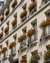 Load image into Gallery viewer, Rue Dauphine Geraniums - Paris Photography - La Porte Bonheur