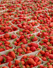 Load image into Gallery viewer, Strawberries at the Marché - French Market Print - La Porte Bonheur