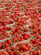 Load image into Gallery viewer, Strawberries at the Marché - French Market Print - La Porte Bonheur