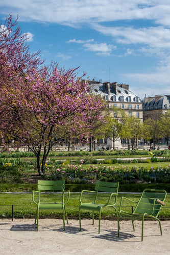 Three Green Chairs in the Tuileries - Paris Photography - La Porte Bonheur