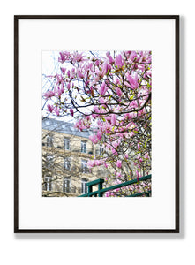 Left Bank Pink Magnolias - Paris Print - La Porte Bonheur