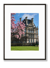 Load image into Gallery viewer, Louvre Magnolias - Paris Print - La Porte Bonheur
