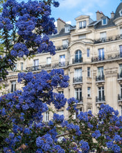 Load image into Gallery viewer, California Lilacs in Paris - Paris Photography - La Porte Bonheur
