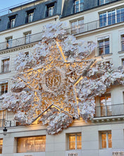 Load image into Gallery viewer, paris right bank christmas tour
