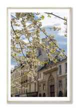 Load image into Gallery viewer, Afternoon Light on the Left Bank - Paris Print - La Porte Bonheur
