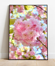 Load image into Gallery viewer, Carolles Cherry Blossom - Normandy Print - La Porte Bonheur
