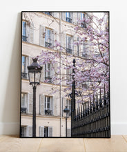 Load image into Gallery viewer, March Cherry Blossoms - Paris Print - La Porte Bonheur
