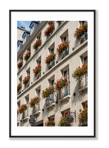 Rue Dauphine Geraniums - Paris Photography - La Porte Bonheur