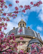 Load image into Gallery viewer, Institut de France Cherry Blossoms - Paris Print - La Porte Bonheur

