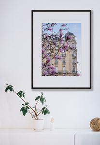 Pink Magnolias on the Avenue - Paris Print - La Porte Bonheur