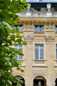 Jardin du Palais Royal in the Summer - Paris Print - La Porte Bonheur