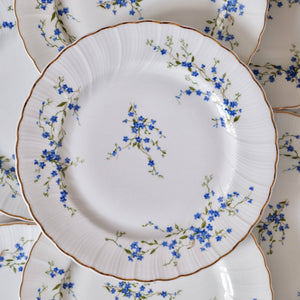 Bernardaud "Myosotis" Blue and White Dinner Plates - La Porte Bonheur