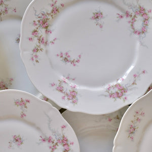 Haviland Pink Floral Dinner Plates - La Porte Bonheur