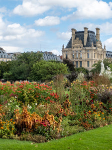 Late Summer Flowers in the Tuileries - Paris Photography - La Porte Bonheur