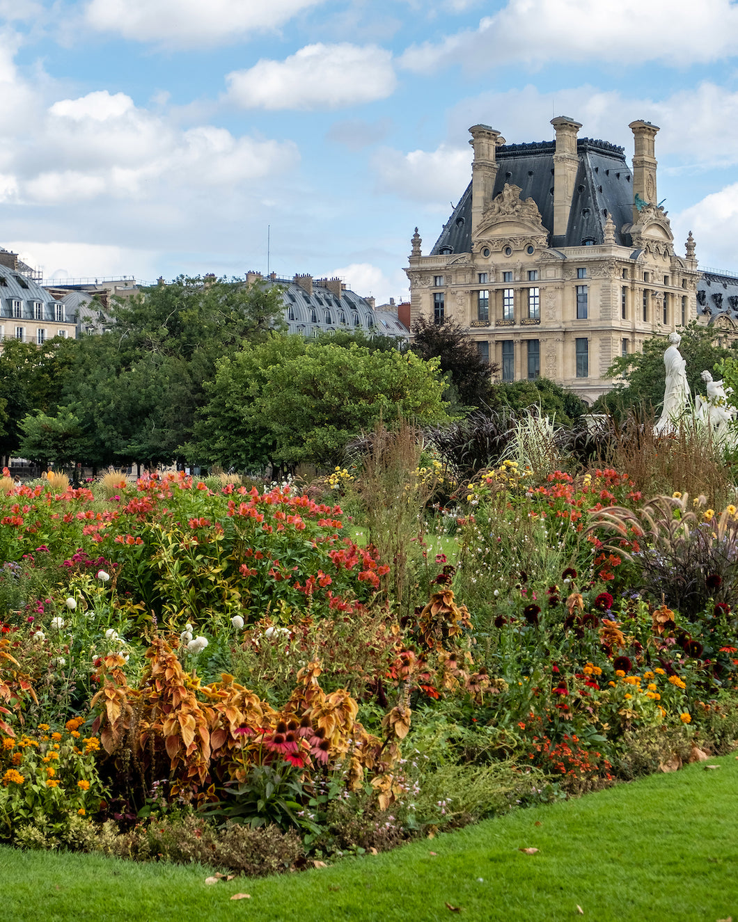 Late Summer Flowers in the Tuileries - Paris Photography - La Porte Bonheur