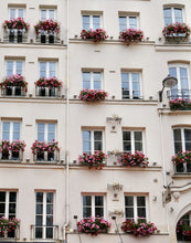 Load image into Gallery viewer, Geraniums on the Left Bank - Paris Print - La Porte Bonheur
