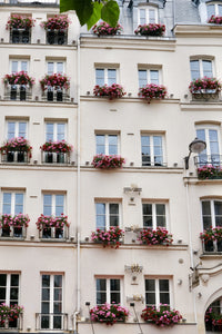 Geraniums on the Left Bank - Paris Print - La Porte Bonheur