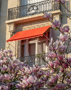 Magnolia Window View - Paris Print - La Porte Bonheur