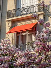 Load image into Gallery viewer, Magnolia Window View - Paris Print - La Porte Bonheur
