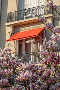 Magnolia Window View - Paris Print - La Porte Bonheur