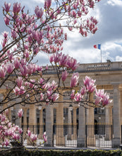 Load image into Gallery viewer, Palais Royal Spring Saturday - Paris Photography - La Porte Bonheur
