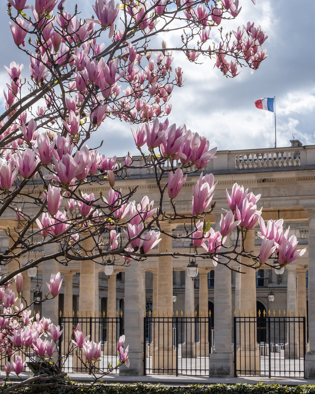 Palais Royal Spring Saturday - Paris Photography - La Porte Bonheur