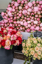 Load image into Gallery viewer, Peonies and Garden Roses at the Marché - Paris Photography - La Porte Bonheur
