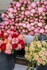 Peonies and Garden Roses at the Marché - Paris Photography - La Porte Bonheur
