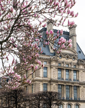 Load image into Gallery viewer, Pink Magnolias and the Louvre - Paris Print - La Porte Bonheur
