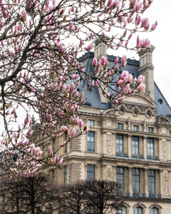 Pink Magnolias and the Louvre - Paris Print - La Porte Bonheur