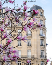 Load image into Gallery viewer, Pink Magnolias on the Avenue - Paris Print - La Porte Bonheur
