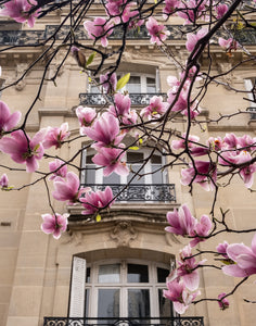 Spring Windows - Paris Print with Magnolias - La Porte Bonheur