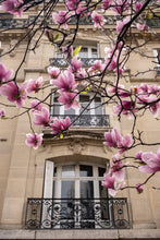 Load image into Gallery viewer, Spring Windows - Paris Print with Magnolias - La Porte Bonheur
