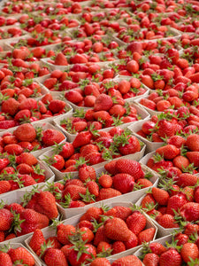 Strawberries at the Marché - French Market Print - La Porte Bonheur