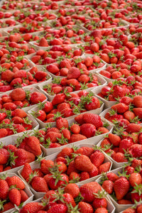 Strawberries at the Marché - French Market Print - La Porte Bonheur