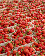 Load image into Gallery viewer, Strawberries at the Marché - French Market Print - La Porte Bonheur
