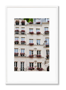 Geraniums on the Left Bank - Paris Print - La Porte Bonheur