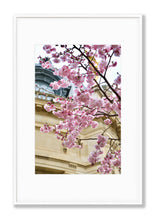 Load image into Gallery viewer, Petit Palais Cherry Blossoms - Paris Print - La Porte Bonheur
