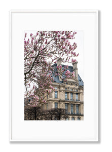 Pink Magnolias and the Louvre - Paris Print - La Porte Bonheur