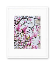 Load image into Gallery viewer, Pink Magnolias - Paris Print - La Porte Bonheur
